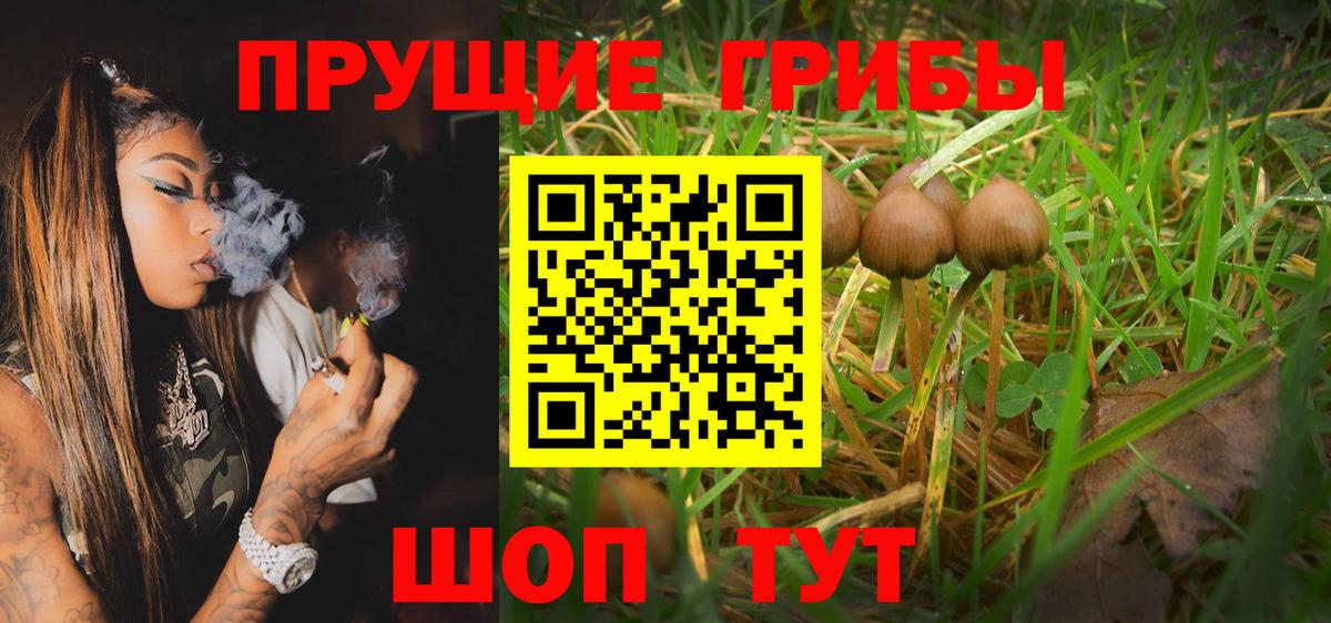 Псилоцибиновые грибы GOLDEN TEACHER Мыски