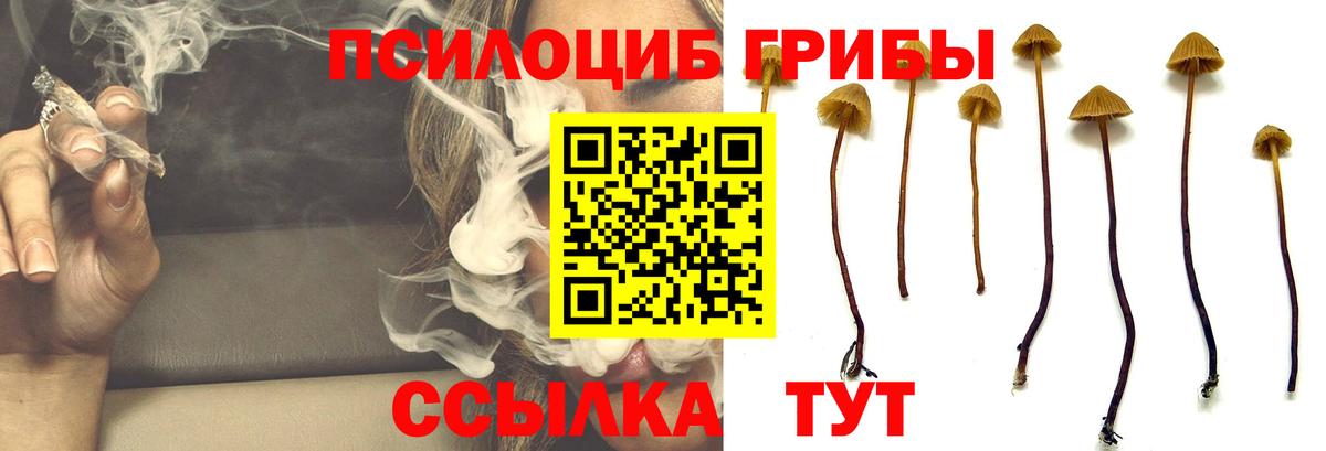 Мыски  наркошоп  Вход с VPN  Галлюциногенные грибы Psilocybine cubensis  Псилоцибиновые грибы Psilocybine cubensis 